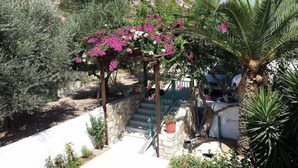 Ein Garten mit einer Pergola, die in rosa Blüten getaucht ist, einer Palme und einer Treppe zu einem überdachten Bereich.