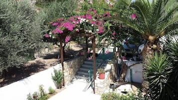 المنطقة المحيطة بالمنشأة