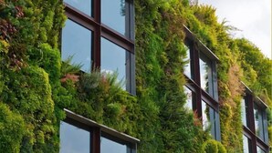 Fachada de edifício com jardins verticais e grandes janelas.