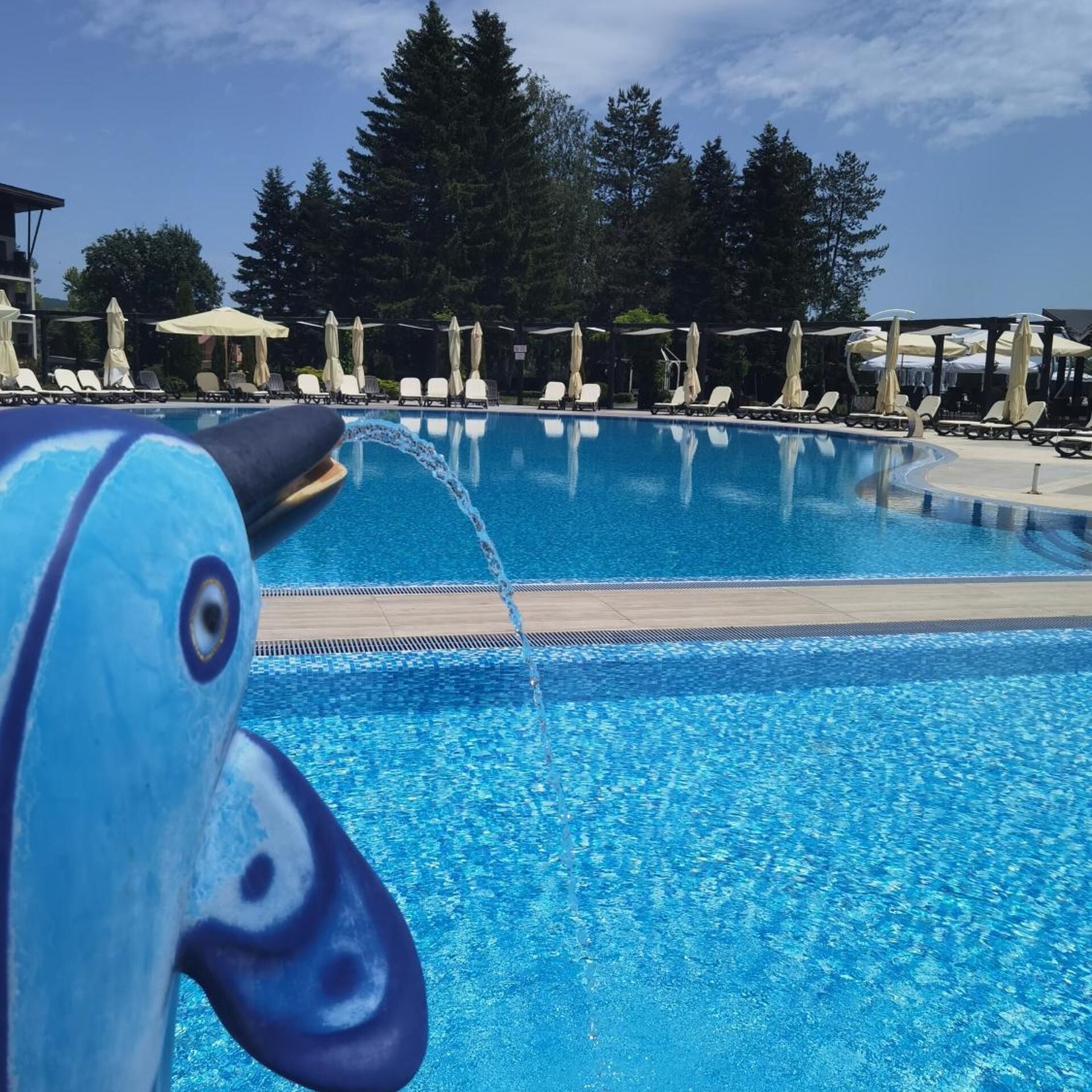 Piscine