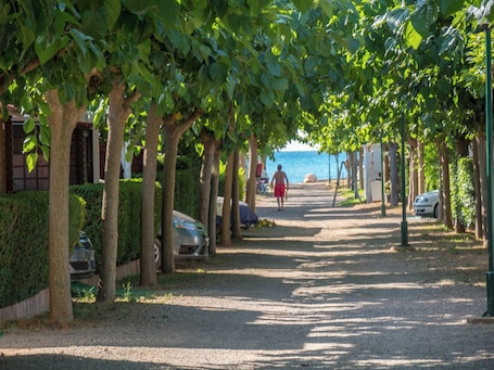 Lobby. Camping Playa Y Fiesta