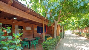 Un espace extérieur abrité, aménagé avec des tables et des chaises en bois, entouré de verdure et bordé d’un sentier de terre.