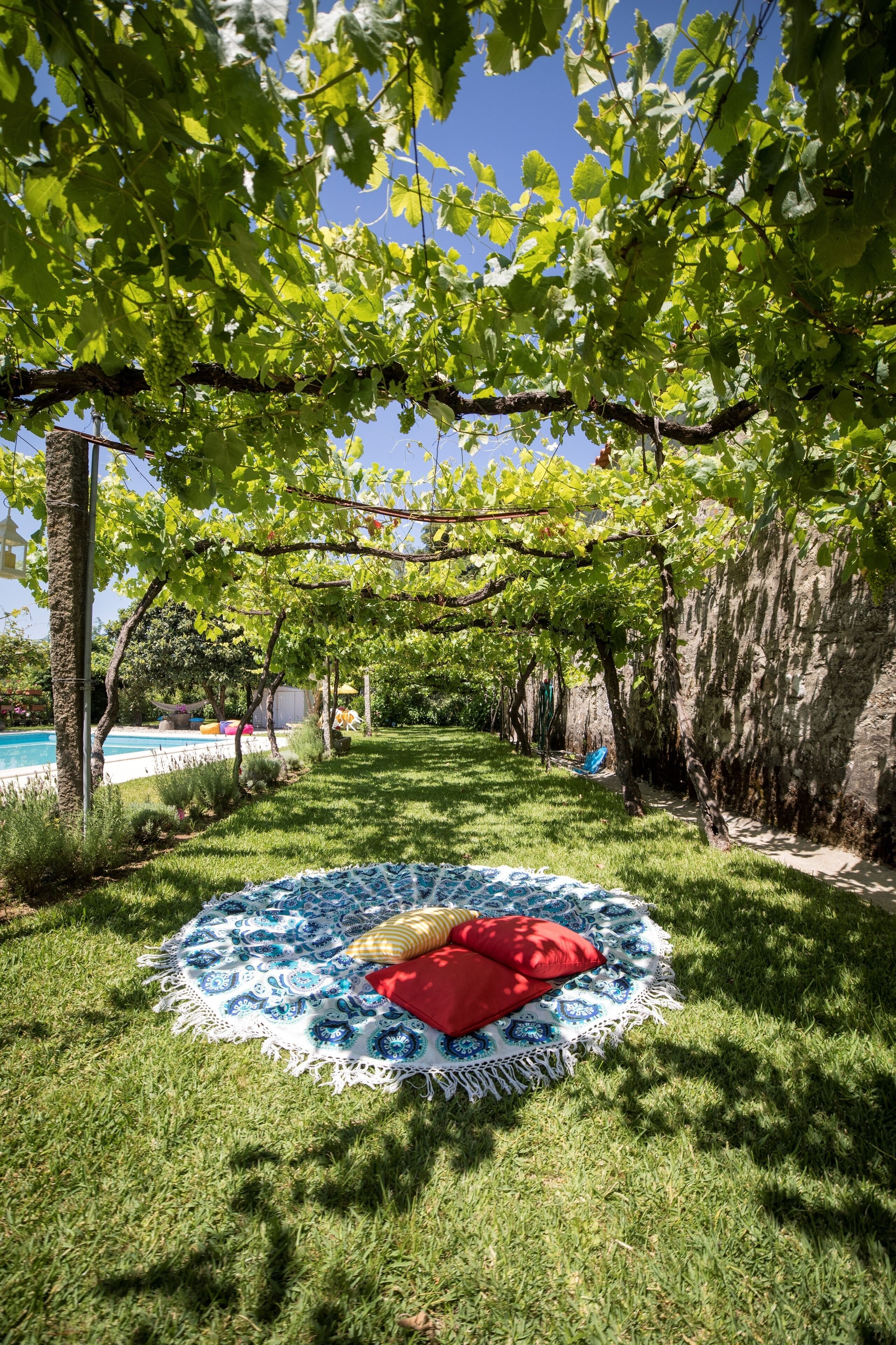 Jardin