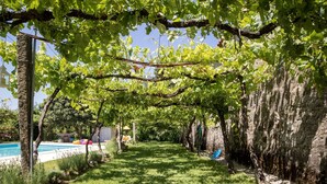 A garden with a pool, a blanket with pillows, and a pergola. - Quinta De Santa Baia (Ponte de Lima)