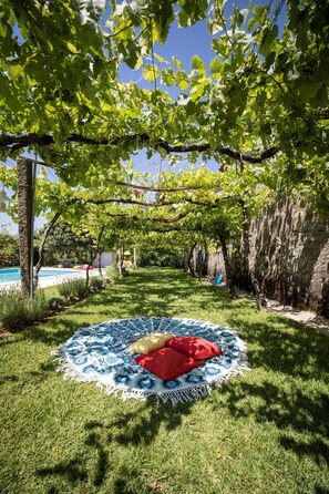 Garden - Quinta De Santa Baia (Ponte de Lima)