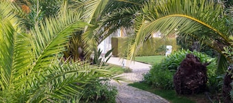 Luz Bay