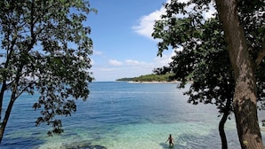 Una vista despejada de una playa con árboles y agua tranquila.