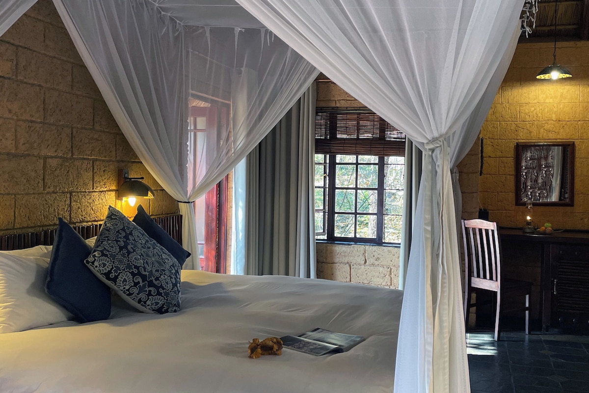 Cama com roupa de cama branca e almofadas azuis, um cão pequeno, uma janela com vista e um candeeiro fixado na parede.