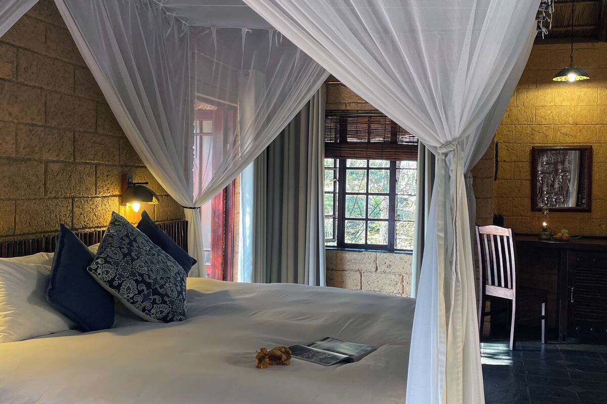 Cama com roupa de cama branca e almofadas azuis, um cão pequeno, uma janela com vista e um candeeiro fixado na parede.