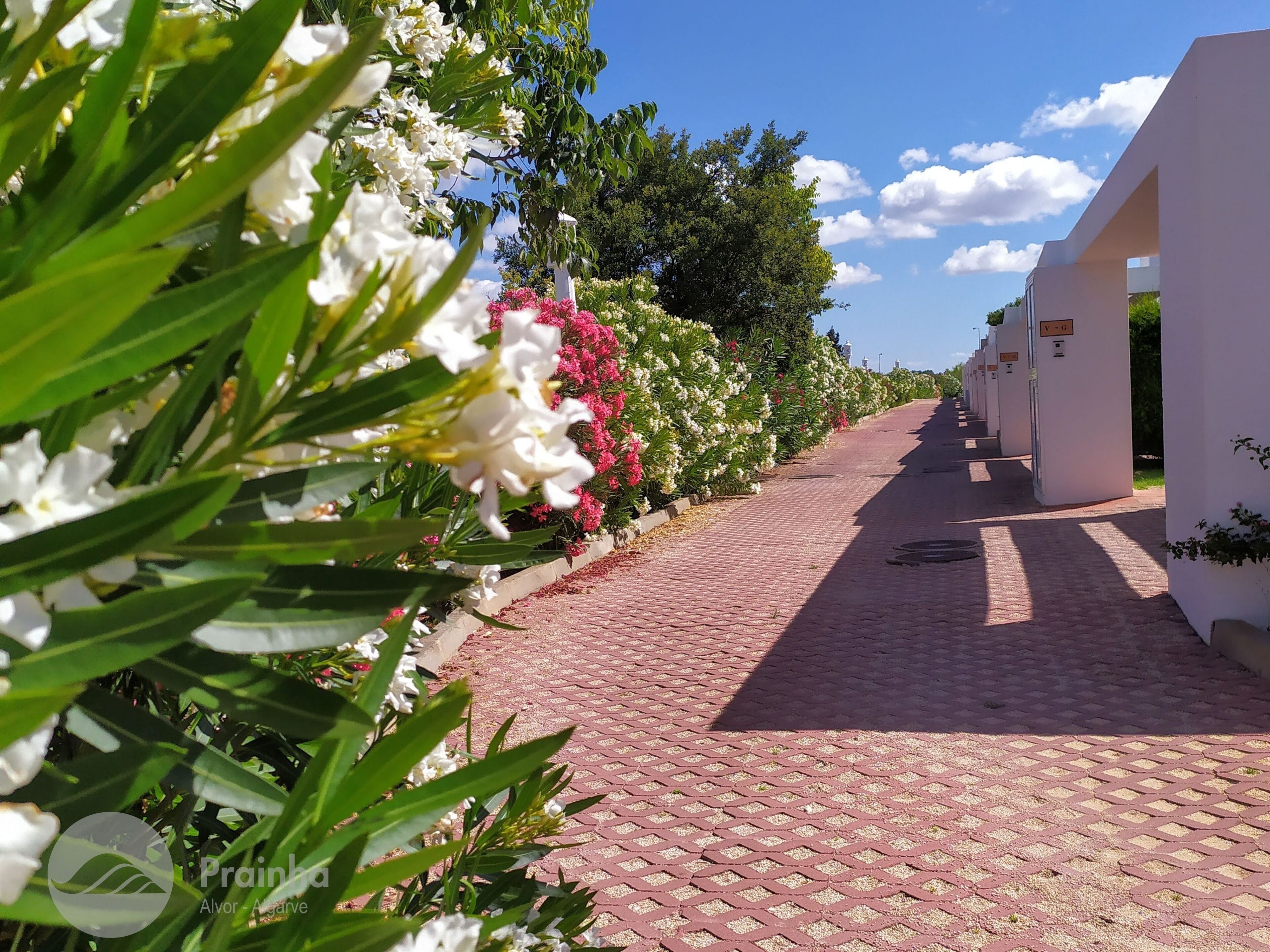Un chemin pavé, bordé de fleurs blanches et de verdure, mène à une rangée de bâtiments blancs, chacun étant identifié par un panneau numéroté.