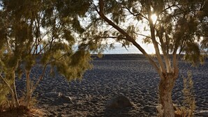 A beach with trees and a clear sky. - Artemis Hotel (Santorini)