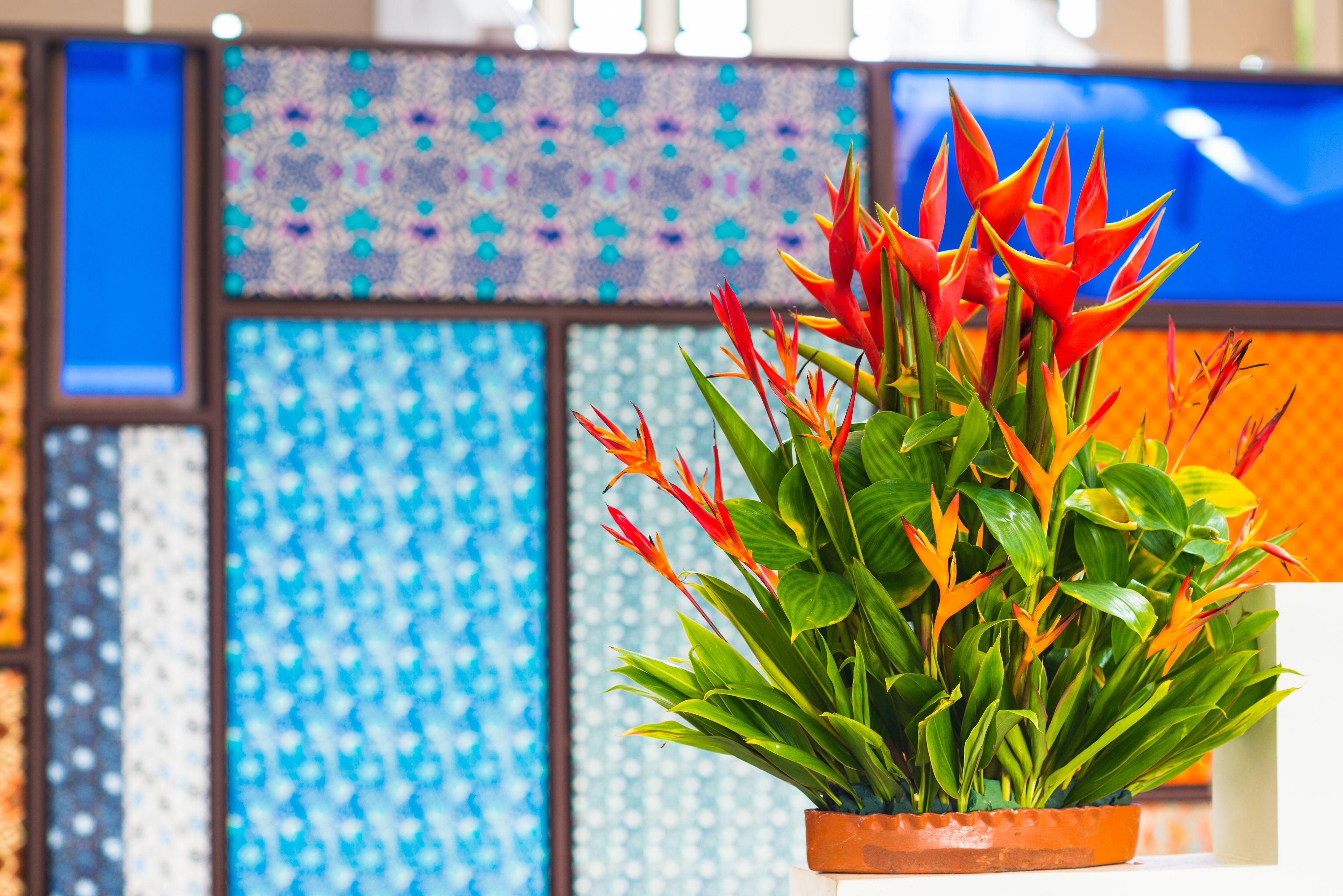 A potted plant with red and orange flowers in a modern setting with patterned walls.