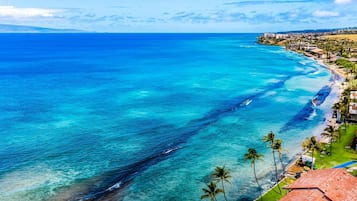 Beach | Beach nearby