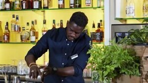 A bar area with shelves of bottles, a bartender preparing drinks, and a counter with glasses and a plant. - Hôtel Mercure Marseille Centre Vieux-Port (MARSEILLE)