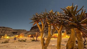 Paisaje desértico con un edificio de varias habitaciones, cielo nocturno despejado y un cactus destacado en primer plano.