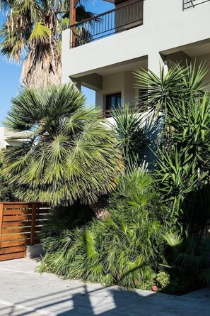 Exterior - Casa Maria Hotel Apts (Platanias)