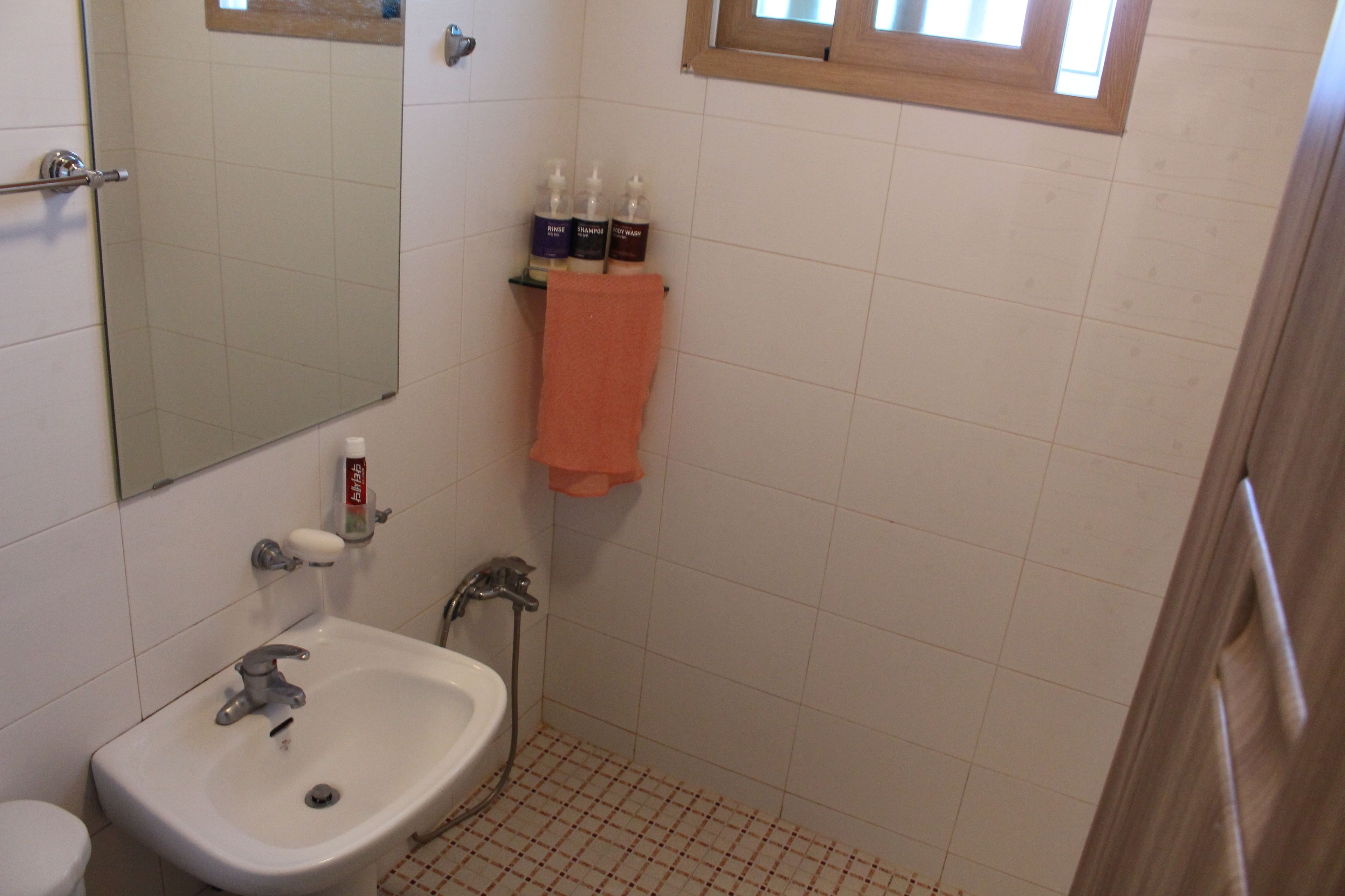 double room | bathroom | shower, free toiletries, hair dryer