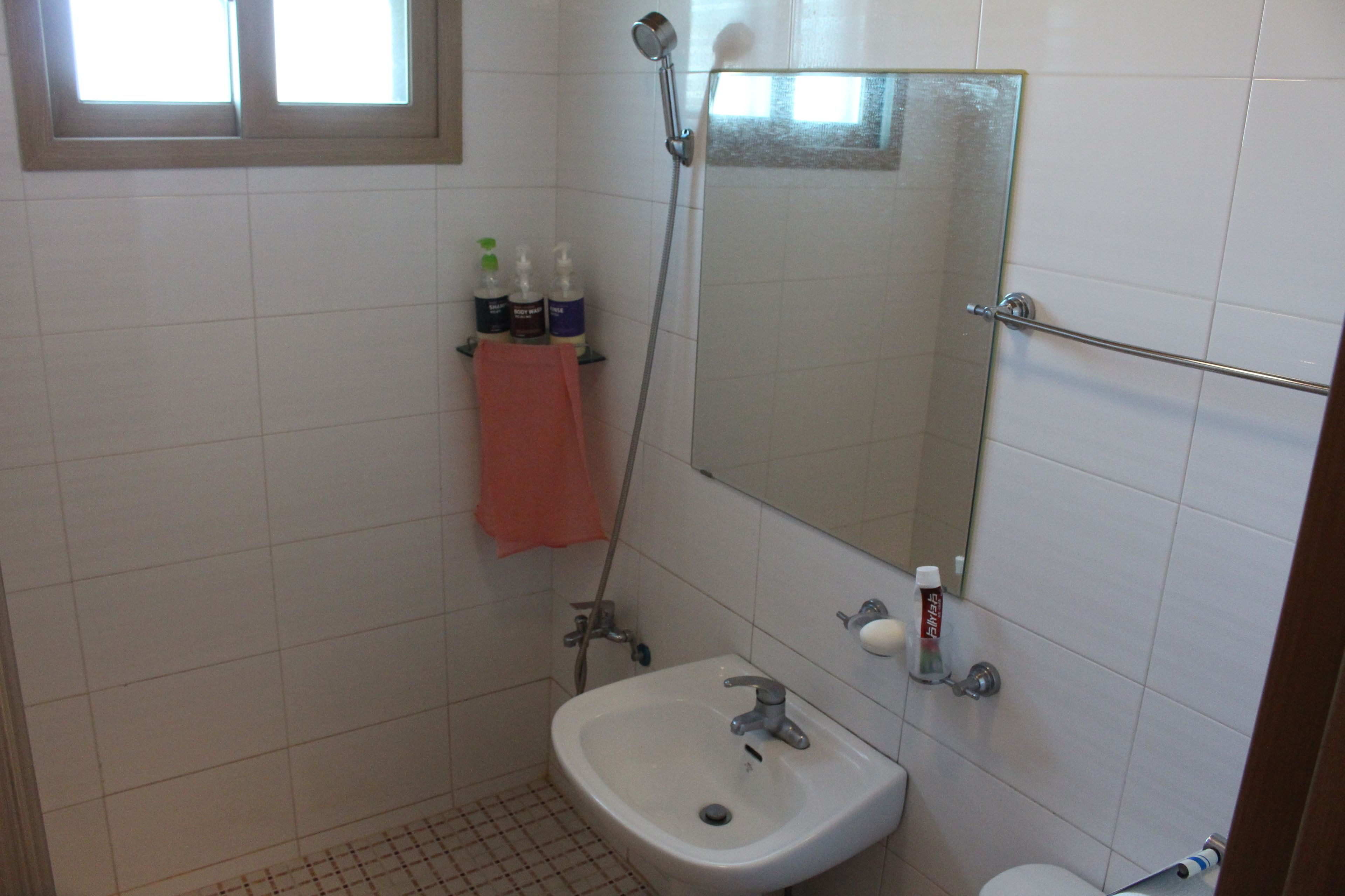 shower, free toiletries, hair dryer