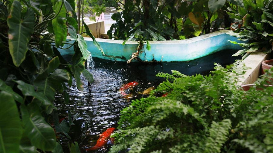 Hersher Studios & Apartments