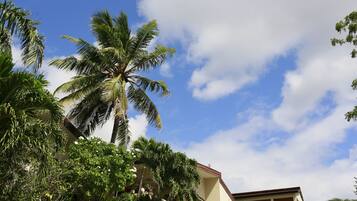 Jardín