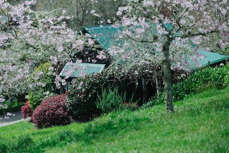 Romantic Cottage | Property grounds