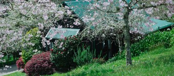 Vineyard Cottages