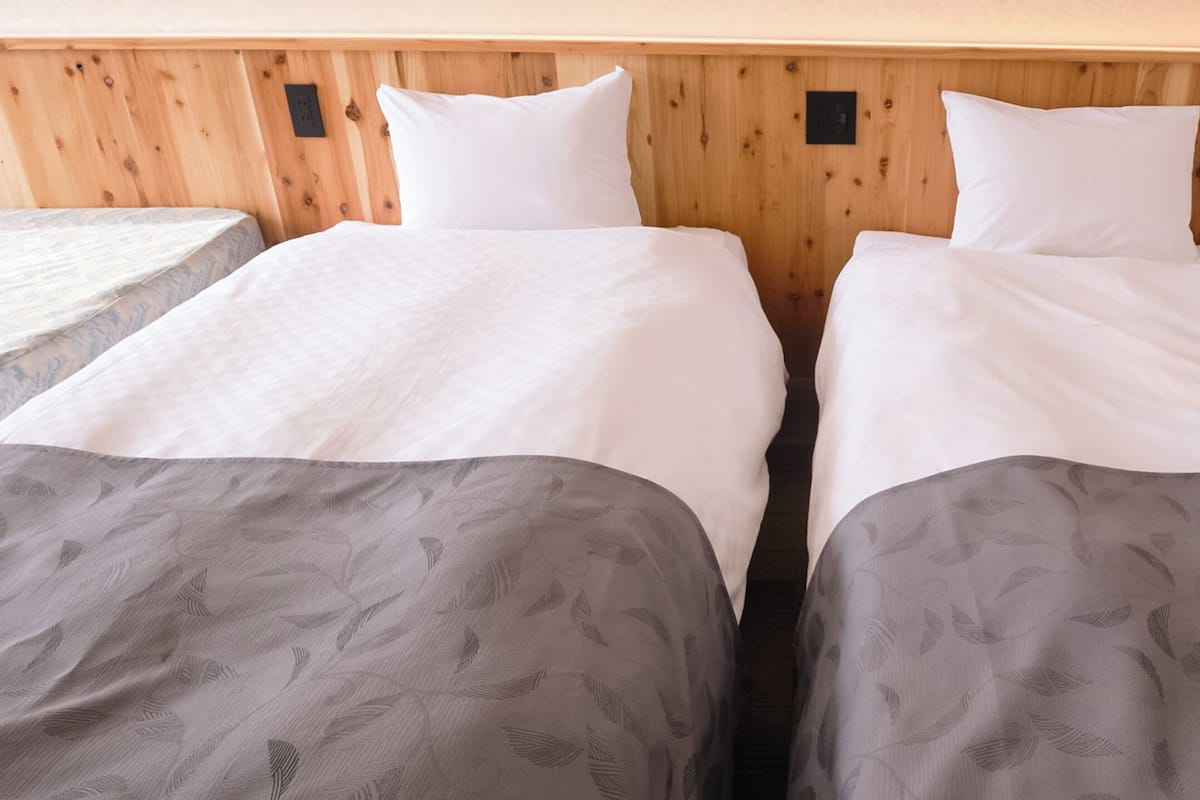 Chambre avec lits jumeaux, salle de bain privée | Literie de qualité, bureau, fer et planche à repasser