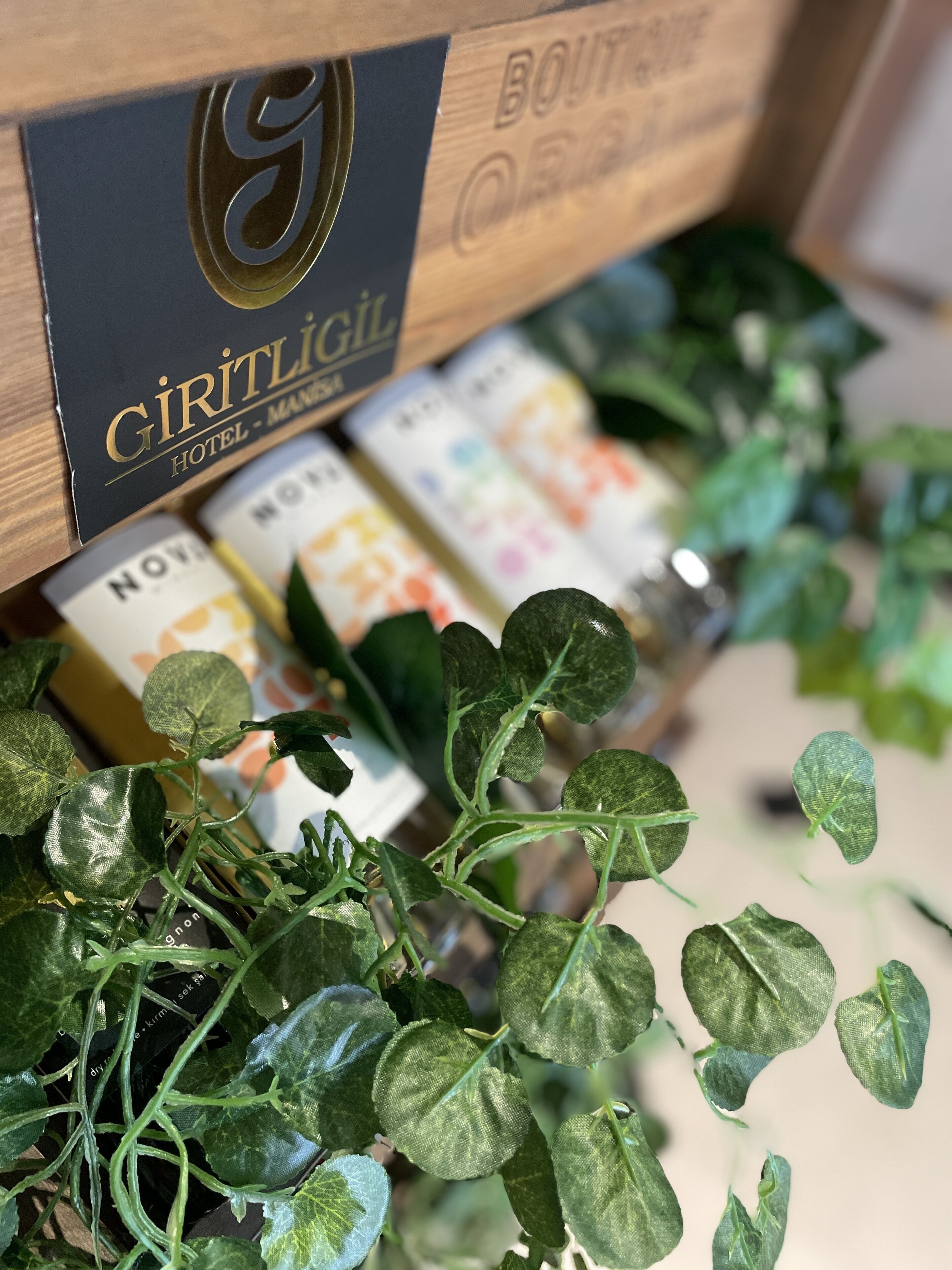 Una caja de madera con el logotipo del Hotel Giritligil y una planta de hojas verdes.