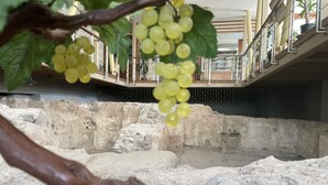 بوفيه فطور مجانًا يوميًا