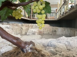 Desayuno buffet incluido todos los días 