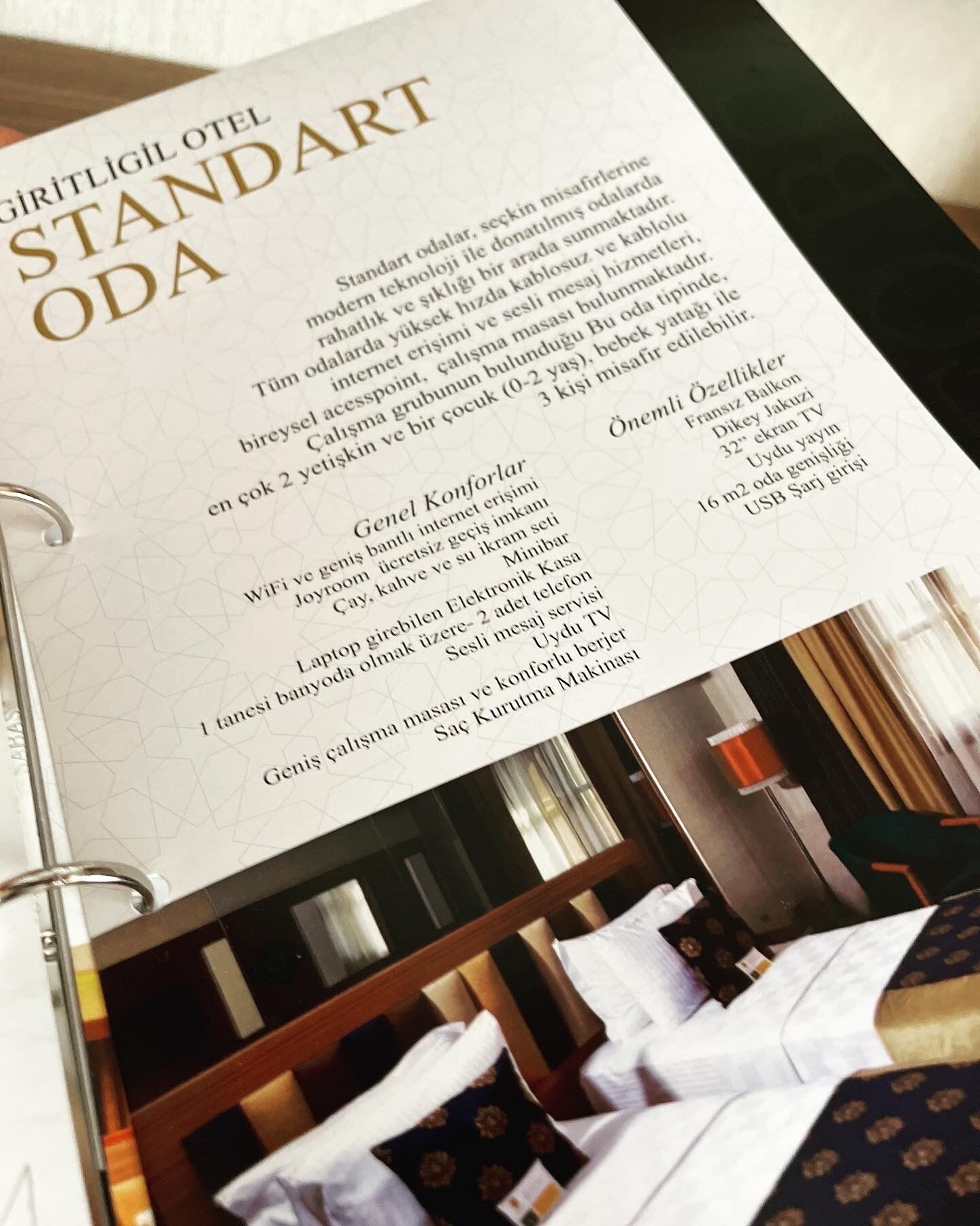 superior room | hypo-allergenic bedding, minibar, in-room safe, desk