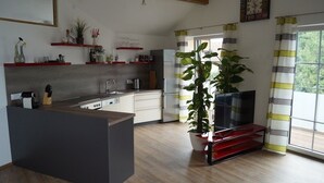 Premium Apartment, 3 Bedrooms, Mountain View | Private kitchen