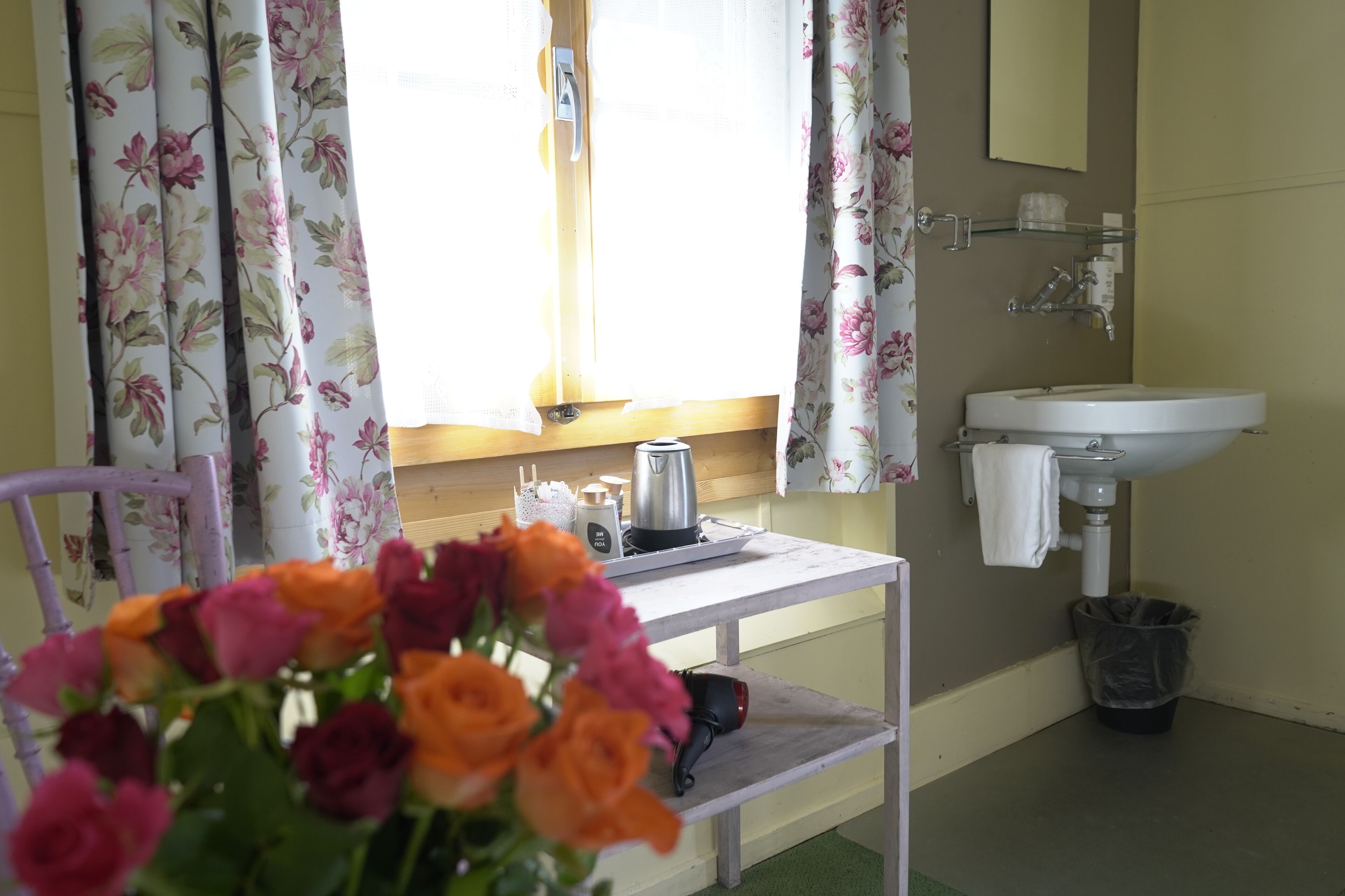 standard twin room, 2 single beds, shared bathroom, mountain view | iron/ironing board, free wifi, bed sheets