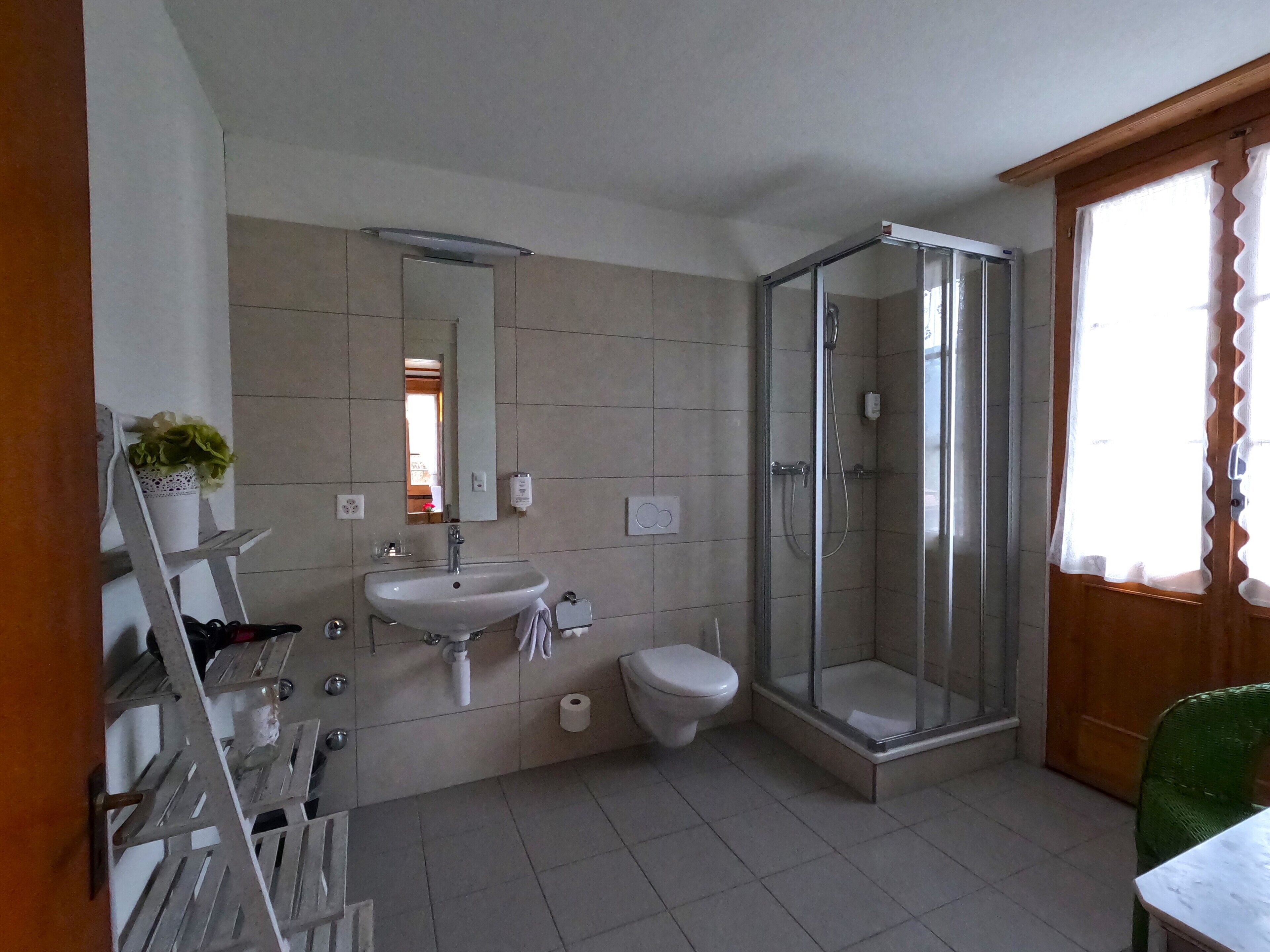 classic twin room, private bathroom | bathroom | free toiletries, hair dryer, towels