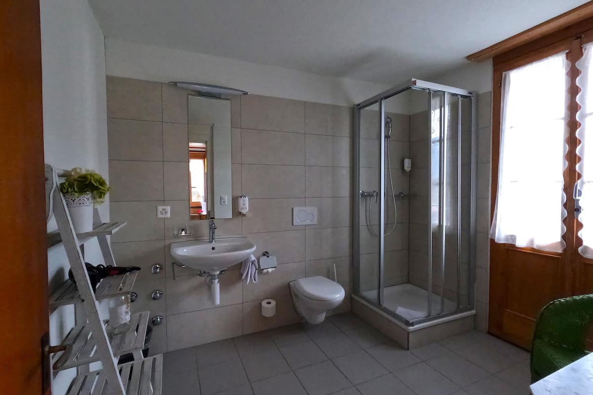 classic twin room, private bathroom | bathroom | free toiletries, hair dryer, towels