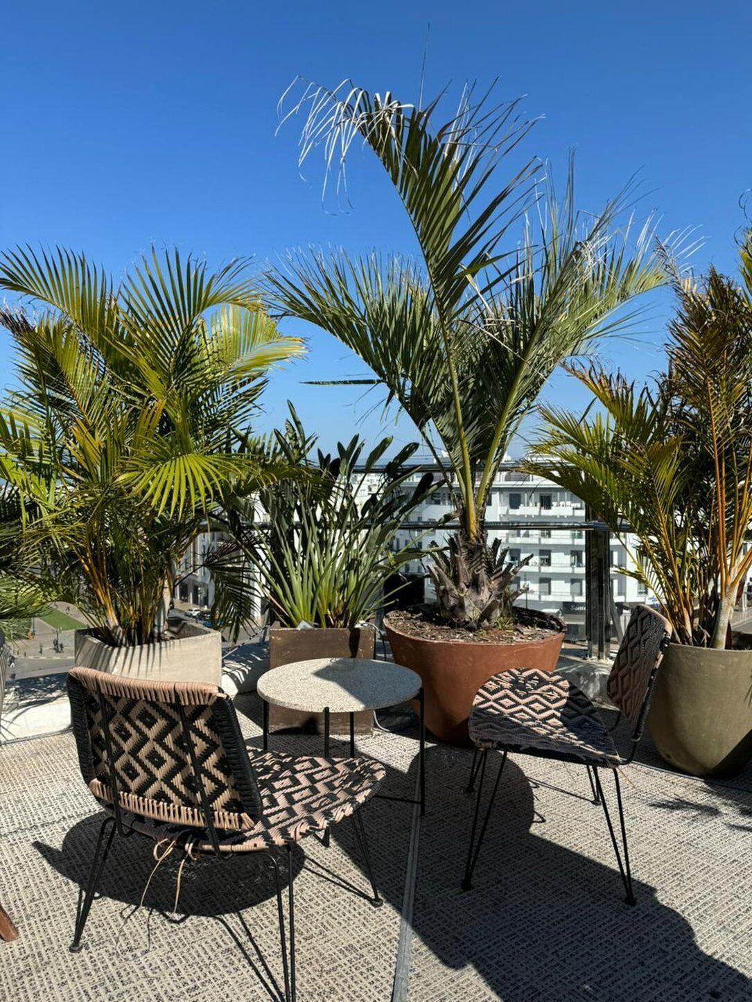 A rooftop terrace with outdoor seating, including two round tables and two chairs, surrounded by potted plants and palm trees.