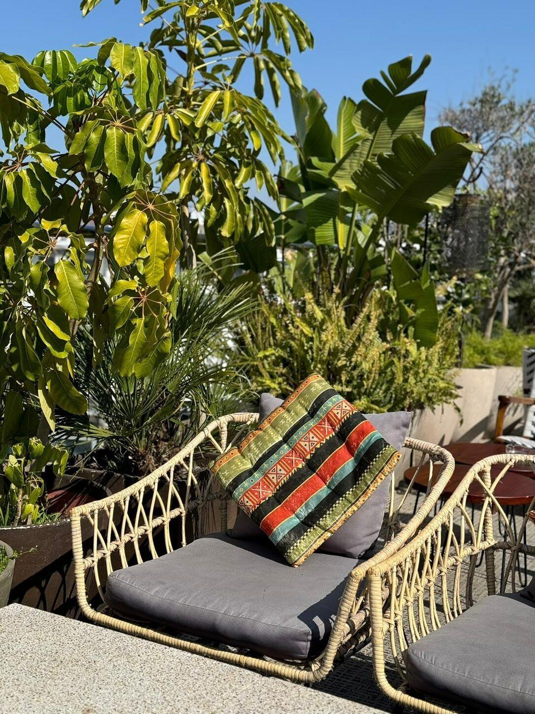 Wicker lounge chairs with cushions and a woven basket.