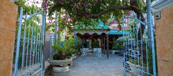 Mango Garden Hoi An Homestay