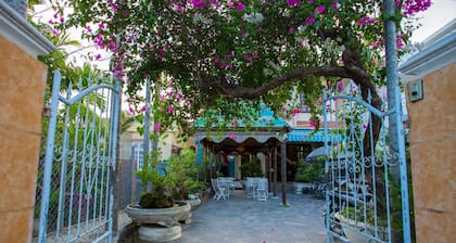 Mango Garden Hoi An Homestay