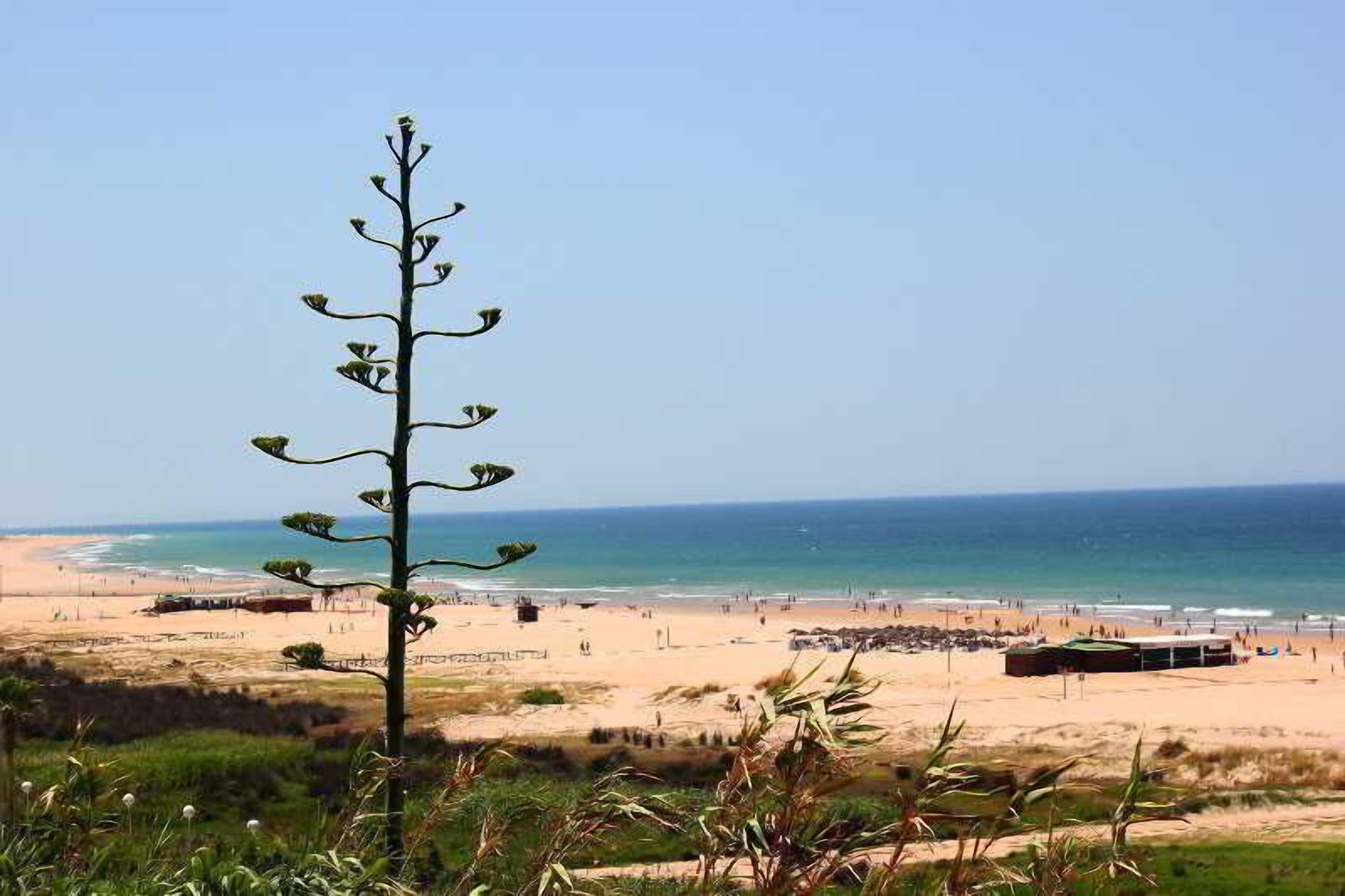 Platja
