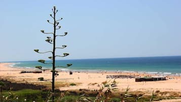 Playa