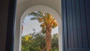 Un arco de entrada que da a un jardín con una palmera y diversas plantas.
