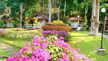 Àrea exterior de l'allotjament