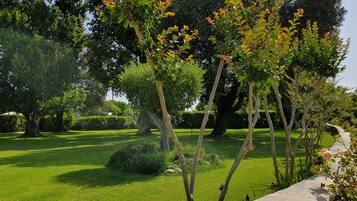 Jardín