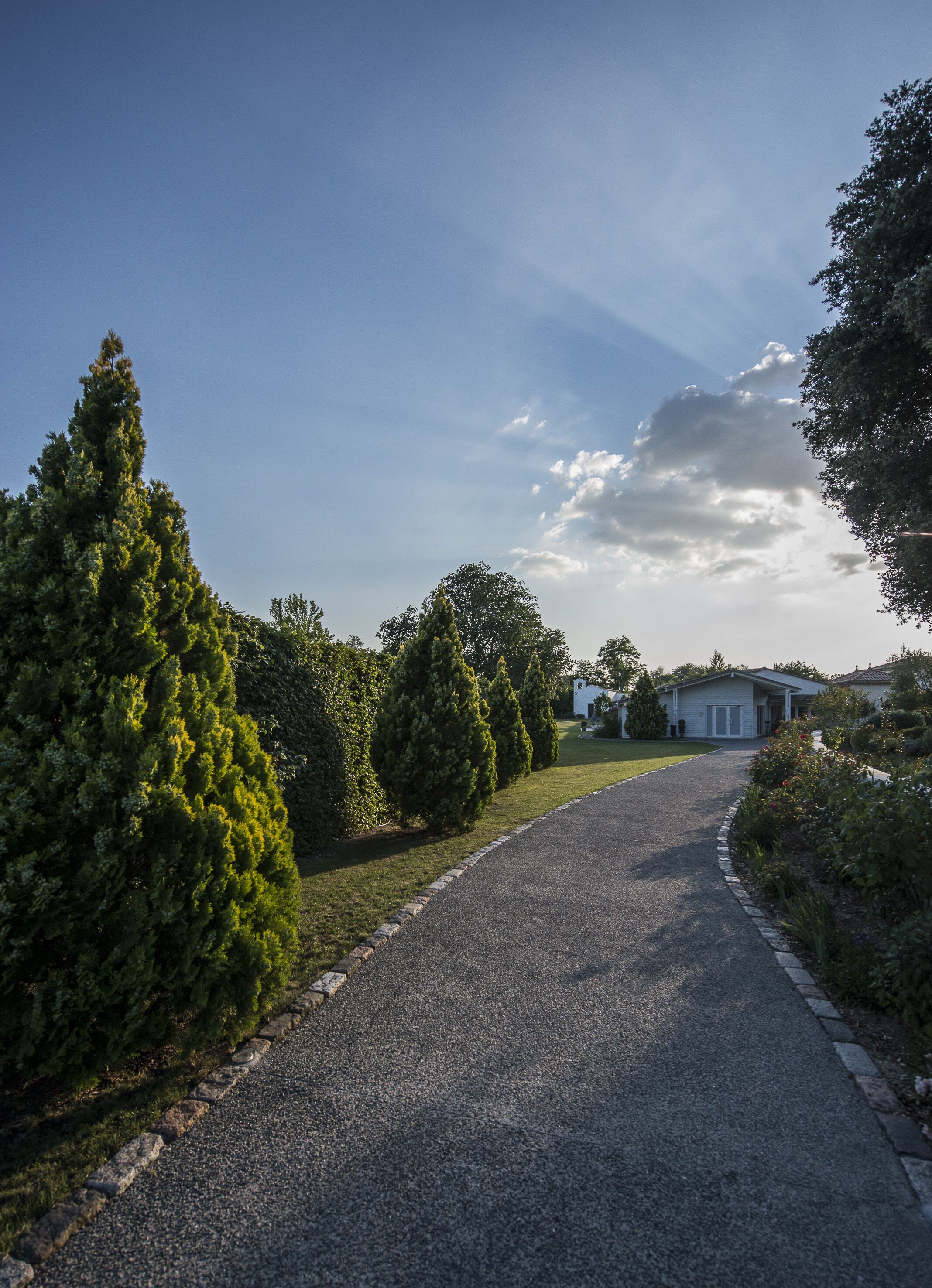 A gravel driveway leading to a white house with a small garden and trees on either side.
