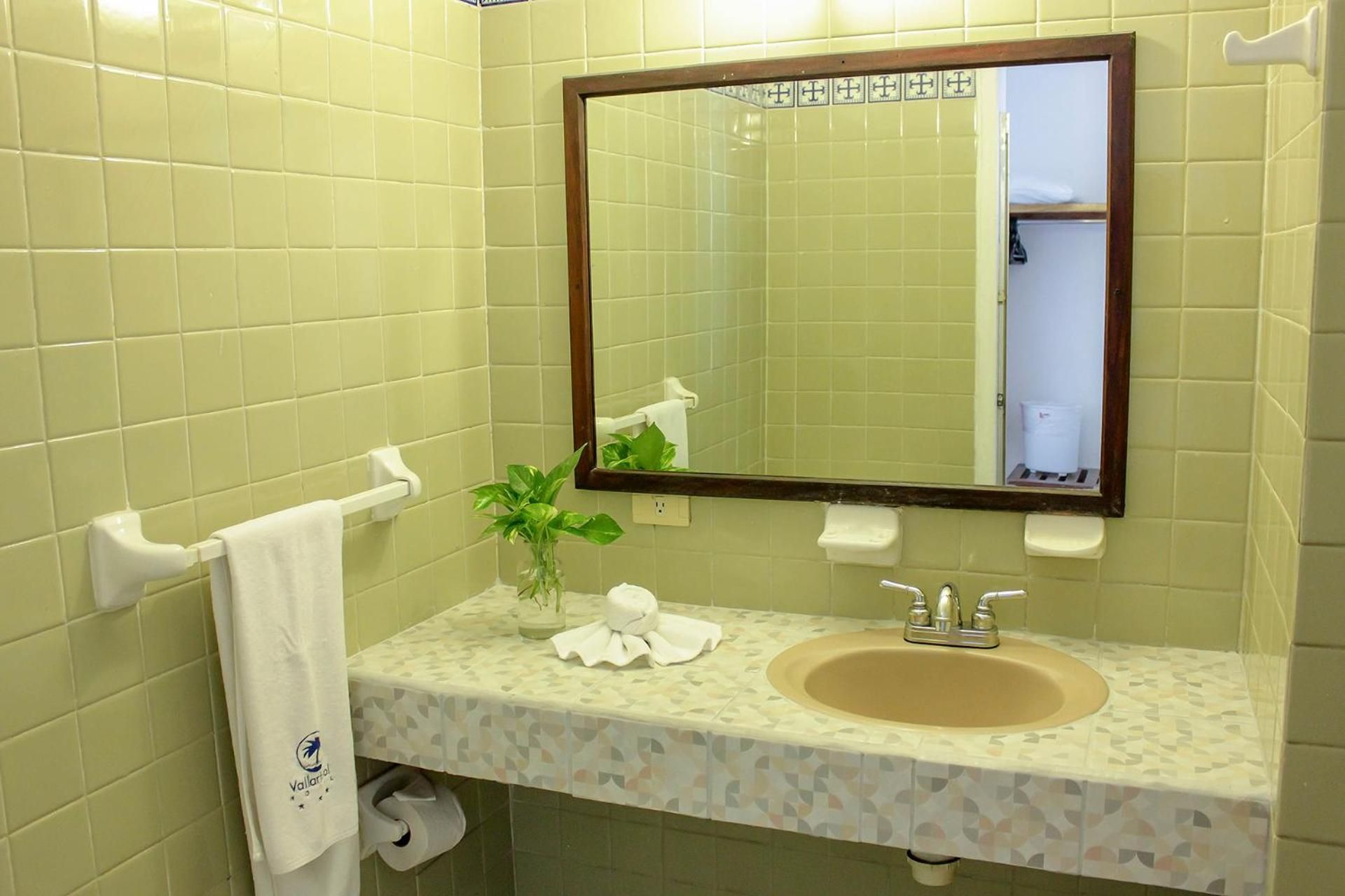 Une salle de bain avec un lavabo, un miroir, un porte-serviettes et une petite plante.