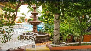 A fountain, a white metal bench, and potted plants in a garden area. - Vallarta Sol (Puerto Vallarta)