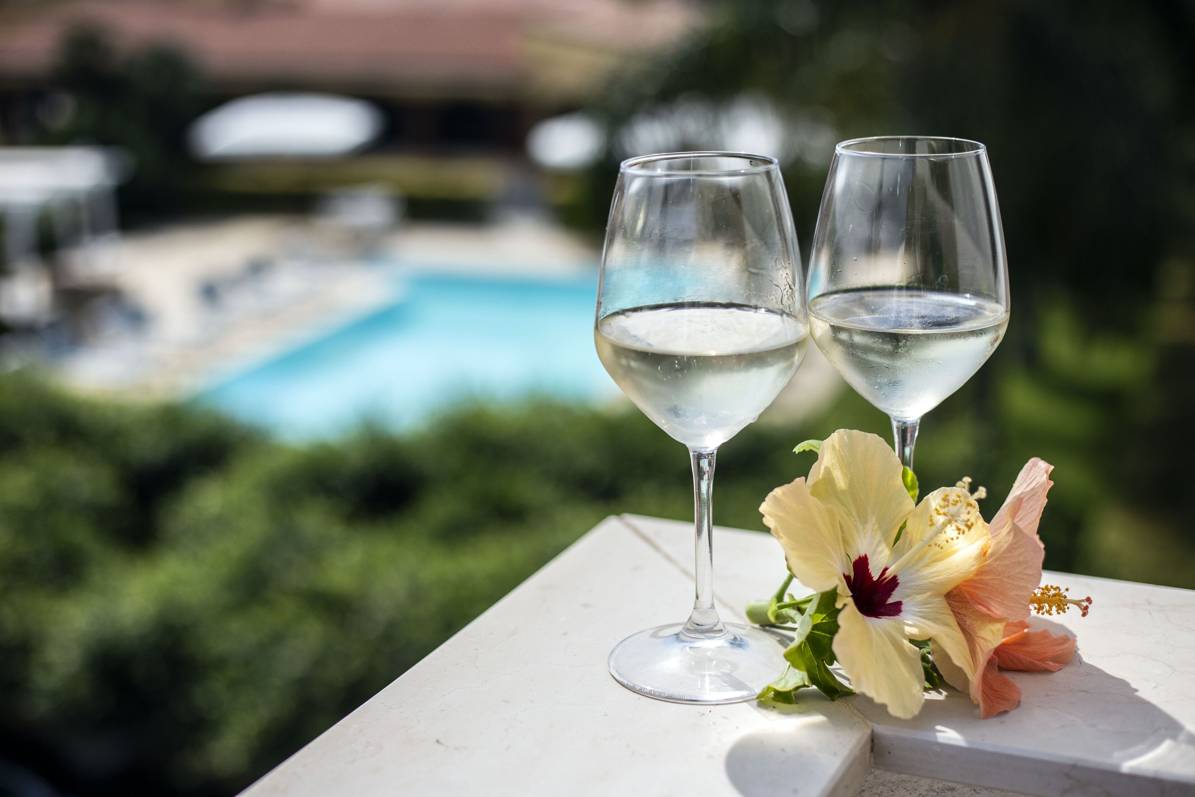 Two glasses of white wine on a table with a flower beside them, overlooking a pool and greenery.
