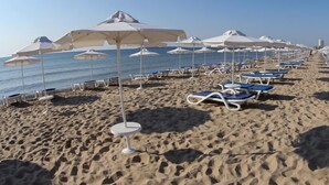 A beach with rows of sun loungers and umbrellas, a sandy shore, and the ocean in the background.