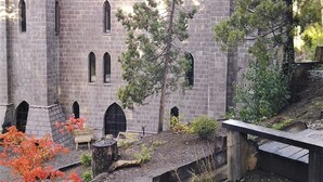 Ein Steinhaus mit Bogenfenstern und einem Baum in der Mitte.